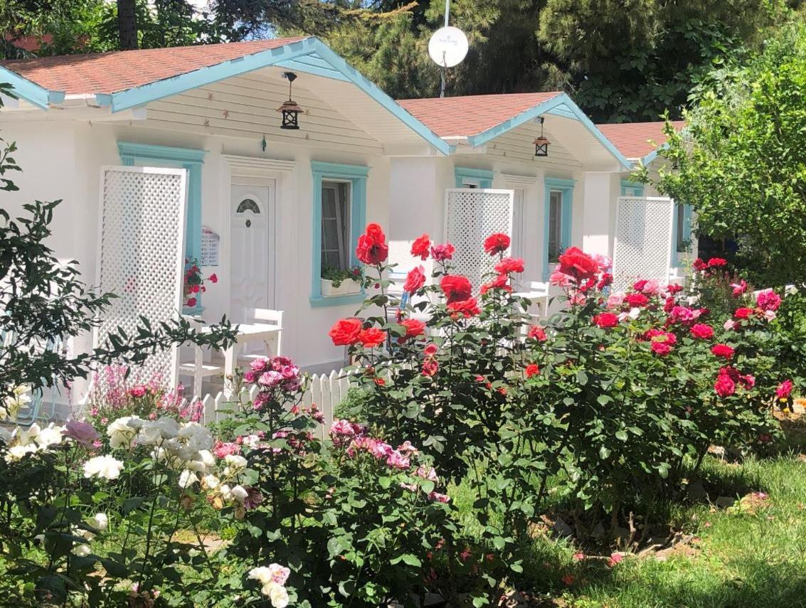 Poyraz Resort Узунгьол Екстериор снимка